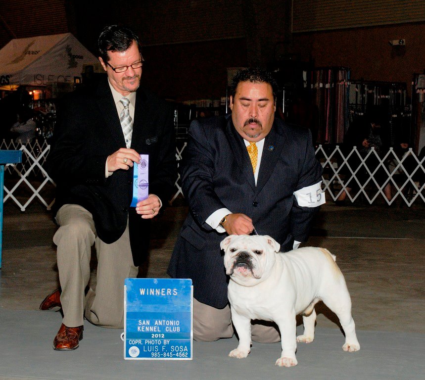 Panda Winner